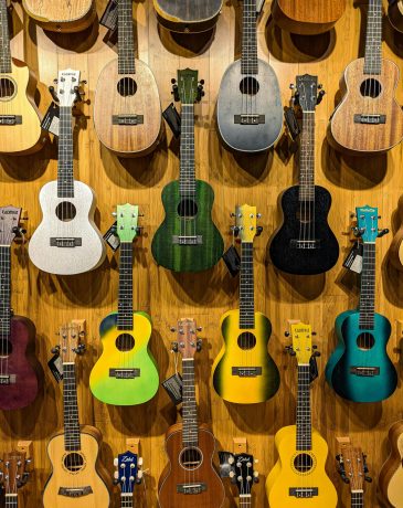 Vibrant ukuleles in various colors hanging on a wooden wall, showcasing musical diversity.